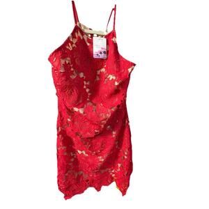 NWT Dainty Hooligan Dress Lace Red Fitted Zip Back Sz Large